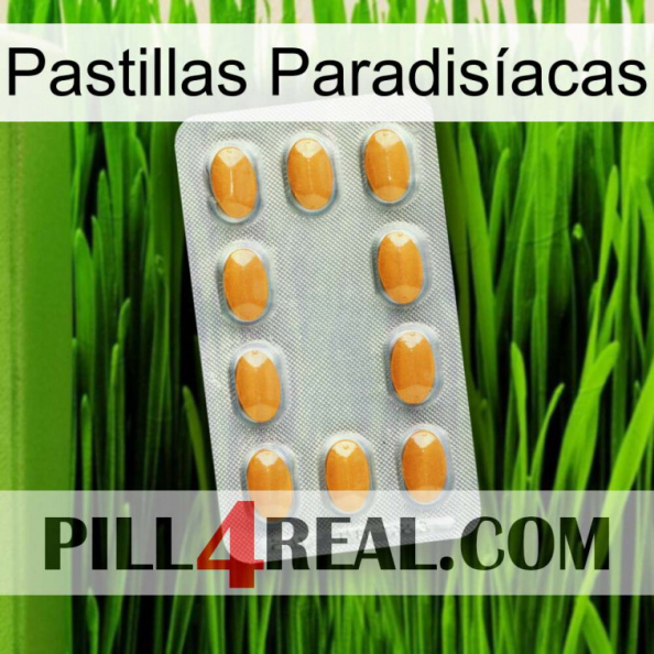 Pastillas Paradisíacas cialis3